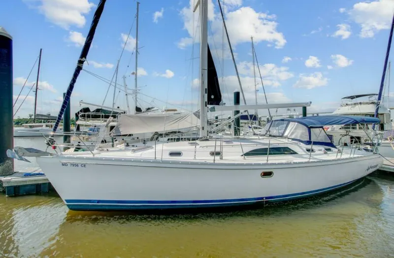 The Image of Catalina 445 2011 - 0