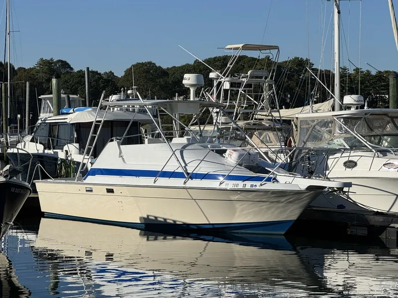 The Image of Luhrs 1986 - 0