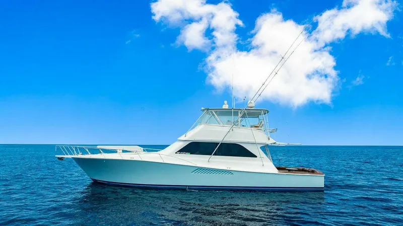 Slide: The Image of Viking 55 Convertible 1999 - 3