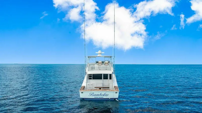 Slide: The Image of Viking 55 Convertible 1999 - 7