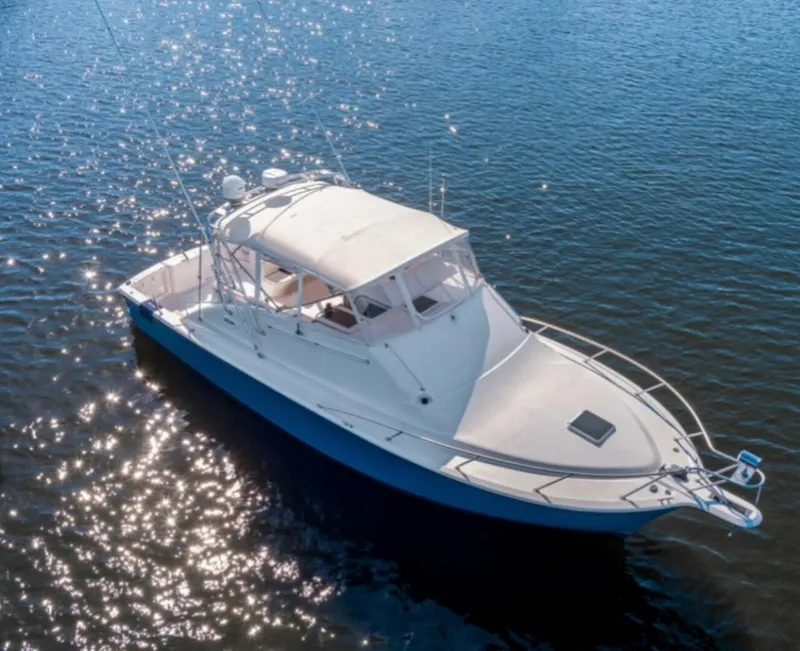 The Image of Ocean 40 Express Bridge 2001 - 0