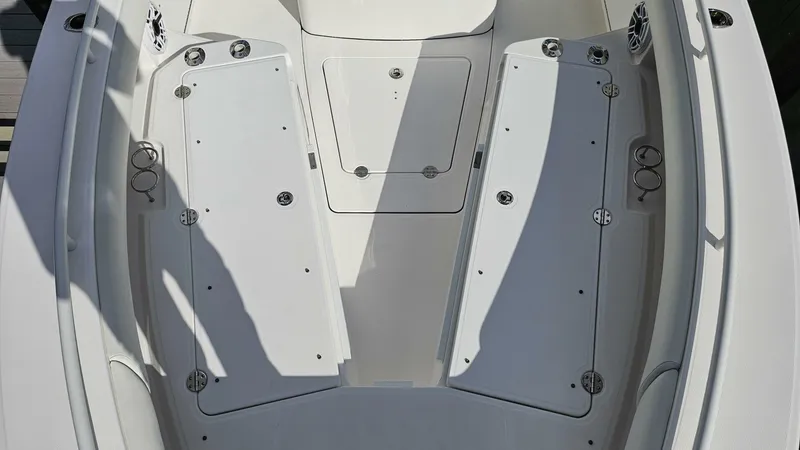 Slide: The Image of Everglades 273CC 2021 - 34