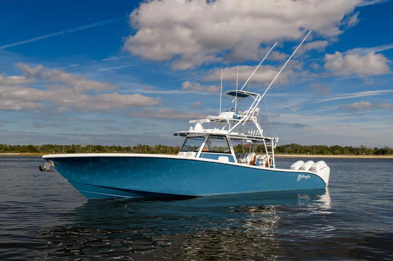 The Image of Yellowfin 2024 - 0