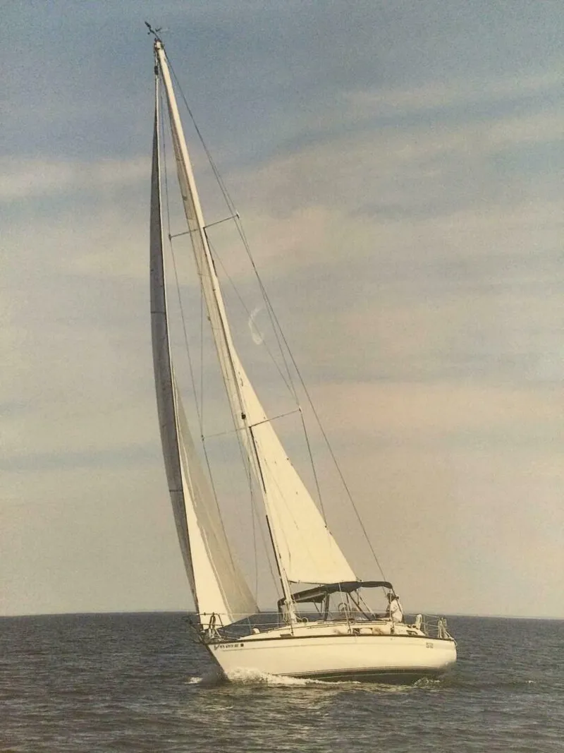 The Image of S2 35C 1987 - 0