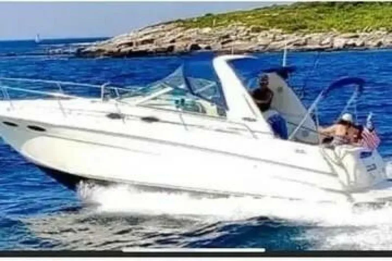 The Image of Sea Ray 1996 - 0