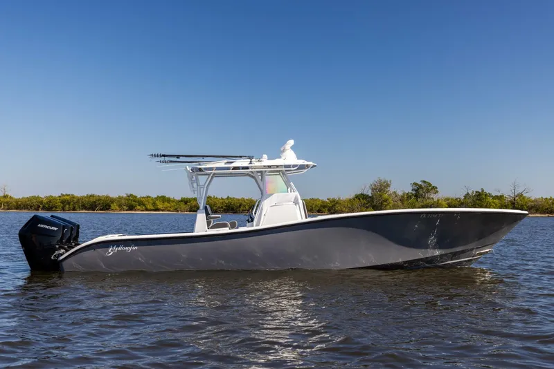 The Image of Yellowfin 2023 - 0