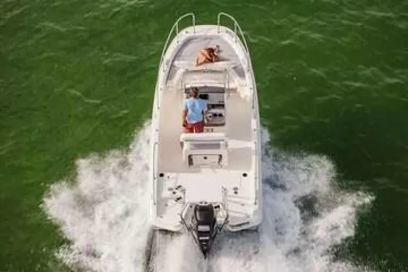 Slide: The Image of Boston Whaler 21 Dauntless 2017 - 10