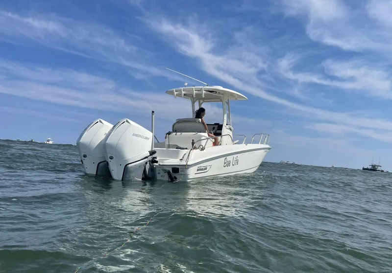 The Image of Boston Whaler 270 Dauntless 2022 - 0