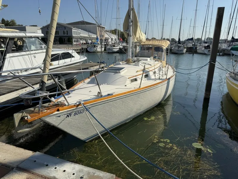 The Image of Sabre Sabre 34-1 1984 - 0