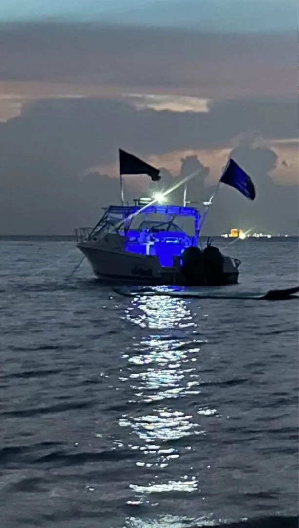 Slide: The Image of Wellcraft 290 Coastal 2000 - 5