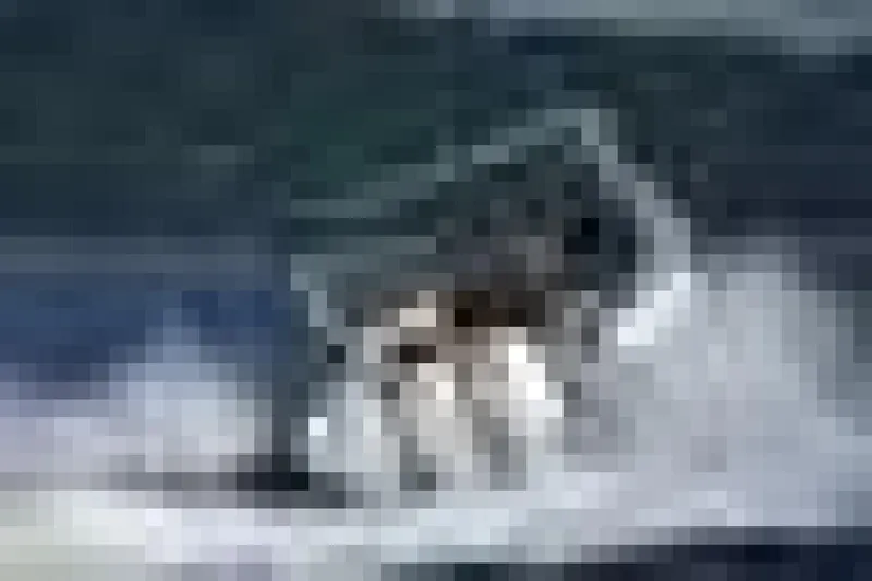Slide: The Image of Caymas 341CC 2020 - 14