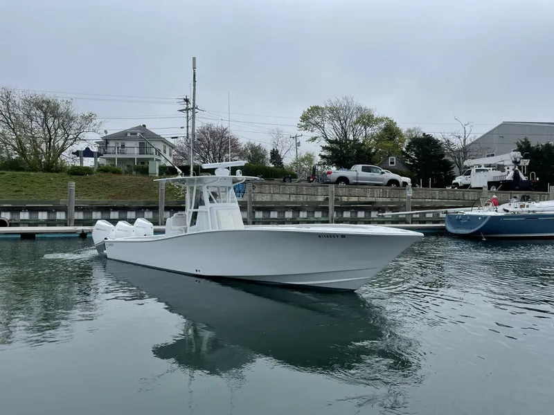 The Image of Conch 33 2022 - 0