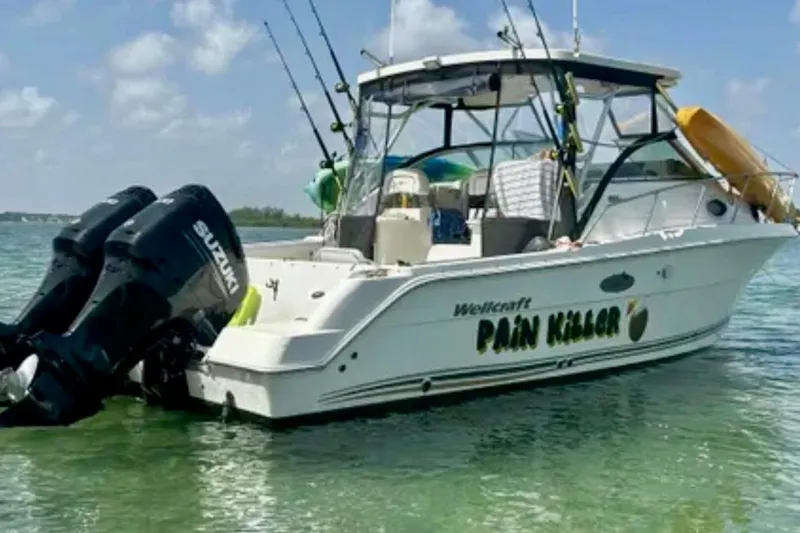 The Image of Wellcraft 290 Coastal 2002 - 0