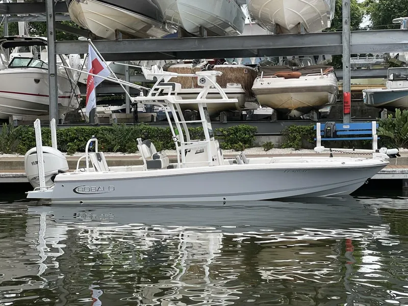 Slide: The Image of Robalo Cayman 246 SD 2022 - 2