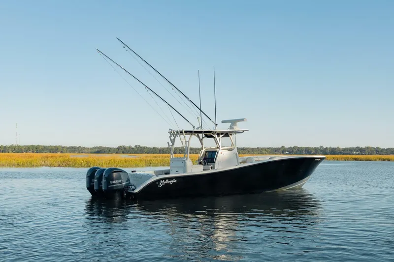 The Image of Yellowfin 2014 - 0