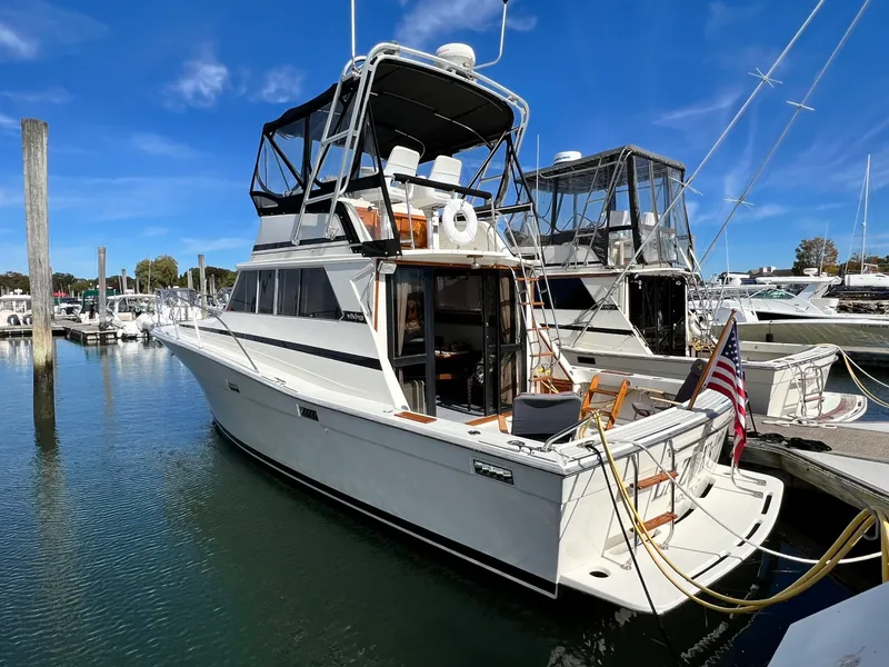The Image of Viking 35 Convertible 1979 - undefined