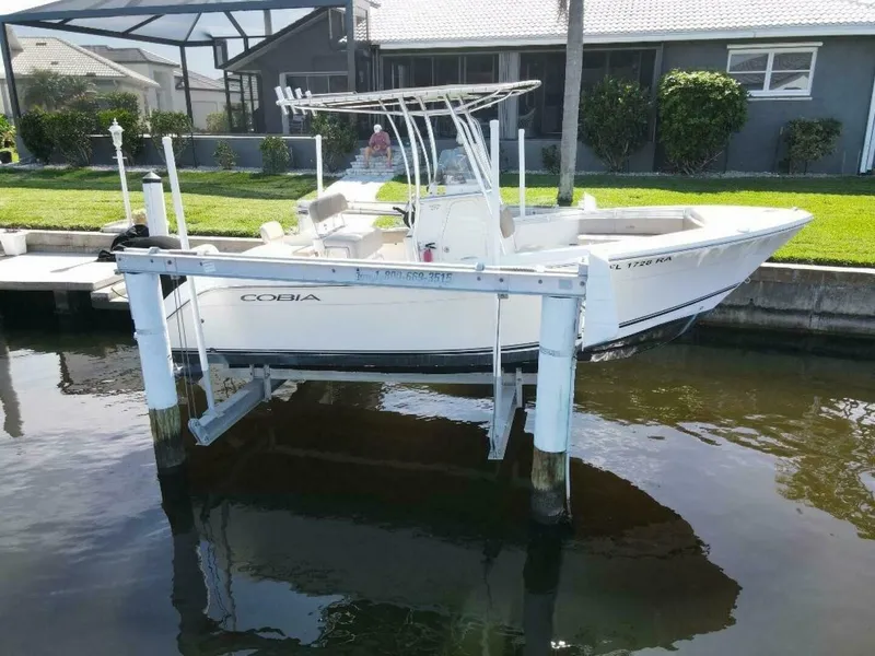 The Image of Cobia 2016 - 0