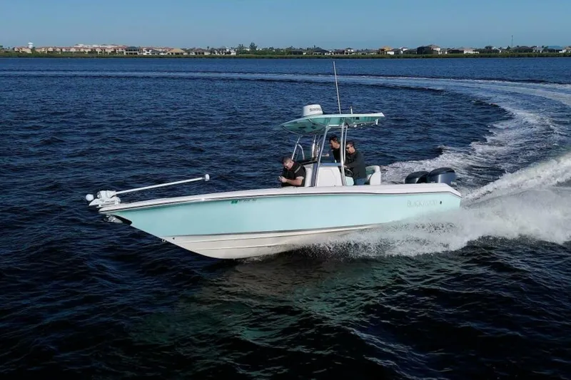 The Image of Blackwood 270 LXF Hybrid 2017 - 0
