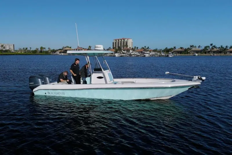 Slide: The Image of Blackwood 270 LXF Hybrid 2017 - 2