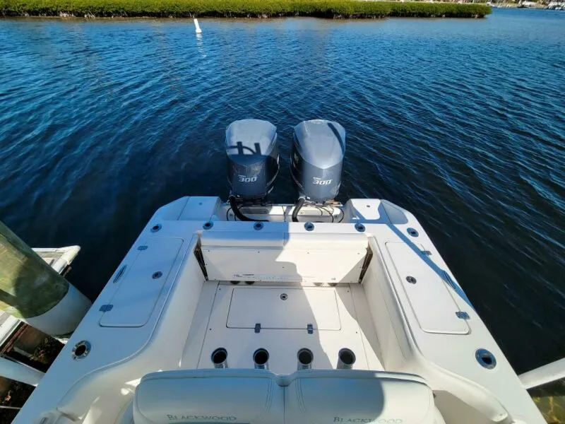 Slide: The Image of Blackwood 270 LXF Hybrid 2017 - 34
