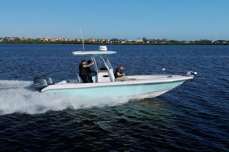 Slide: The Image of Blackwood 270 LXF Hybrid 2017 - 4