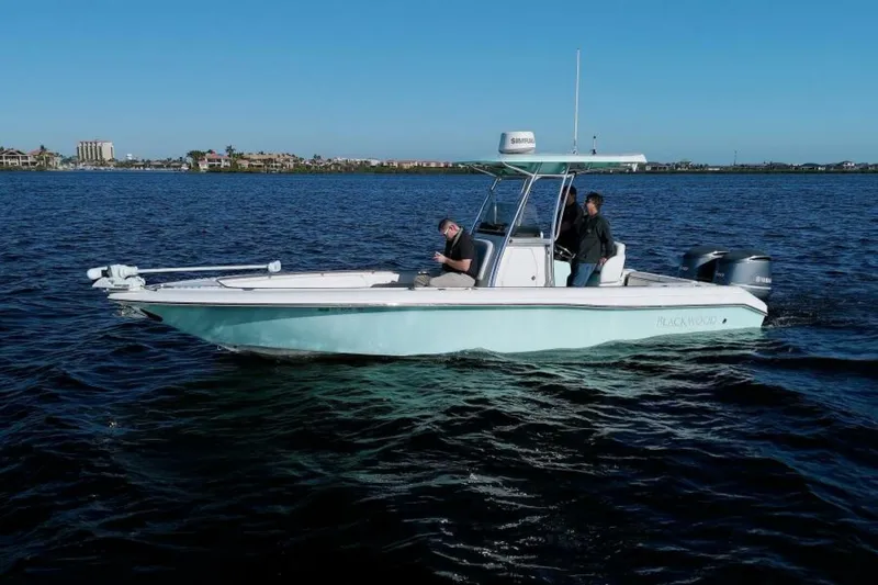Slide: The Image of Blackwood 270 LXF Hybrid 2017 - 63