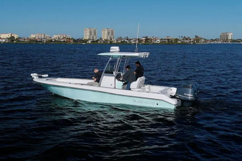 Slide: The Image of Blackwood 270 LXF Hybrid 2017 - 9