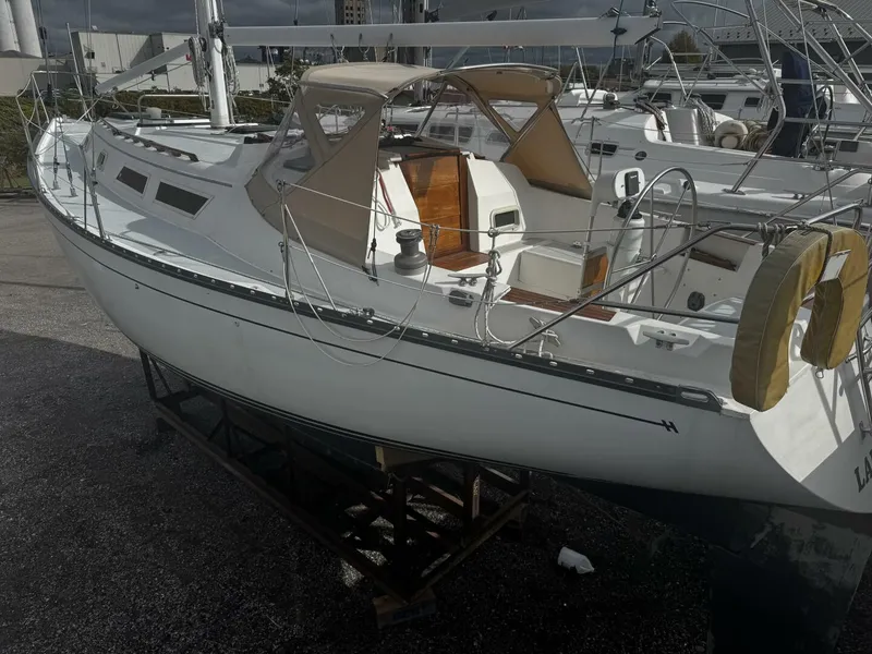 Slide: The Image of Hunter 1984 - 8