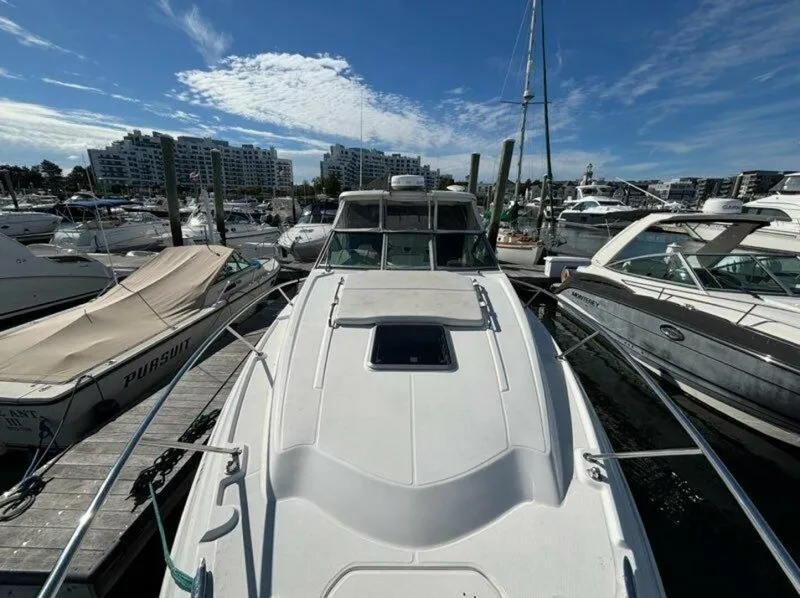 Slide: The Image of Chaparral 2011 - 29
