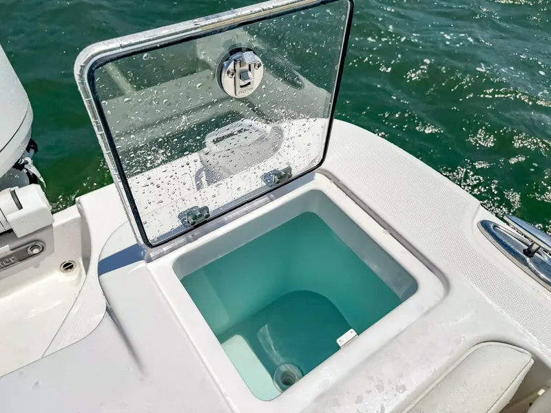 Slide: The Image of Edgewater 262CX 2025 - 20