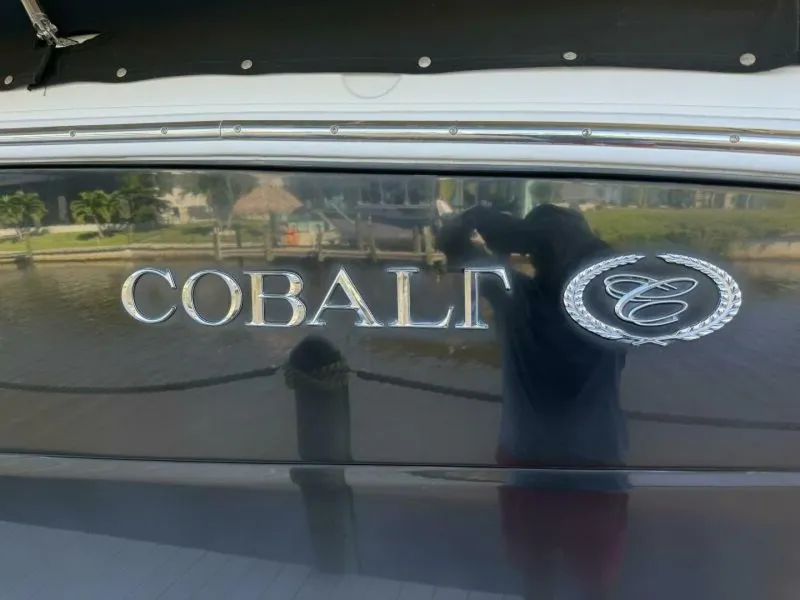 Slide: The Image of Cobalt 296 2010 - 5
