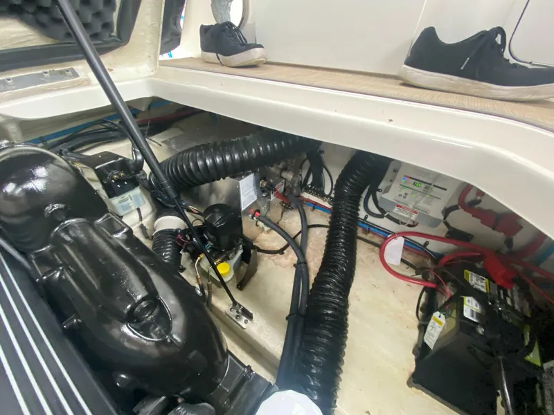 Slide: The Image of Sea Ray 260 Sundancer 2018 - 17