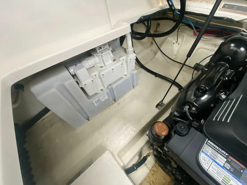 Slide: The Image of Sea Ray 260 Sundancer 2018 - 18