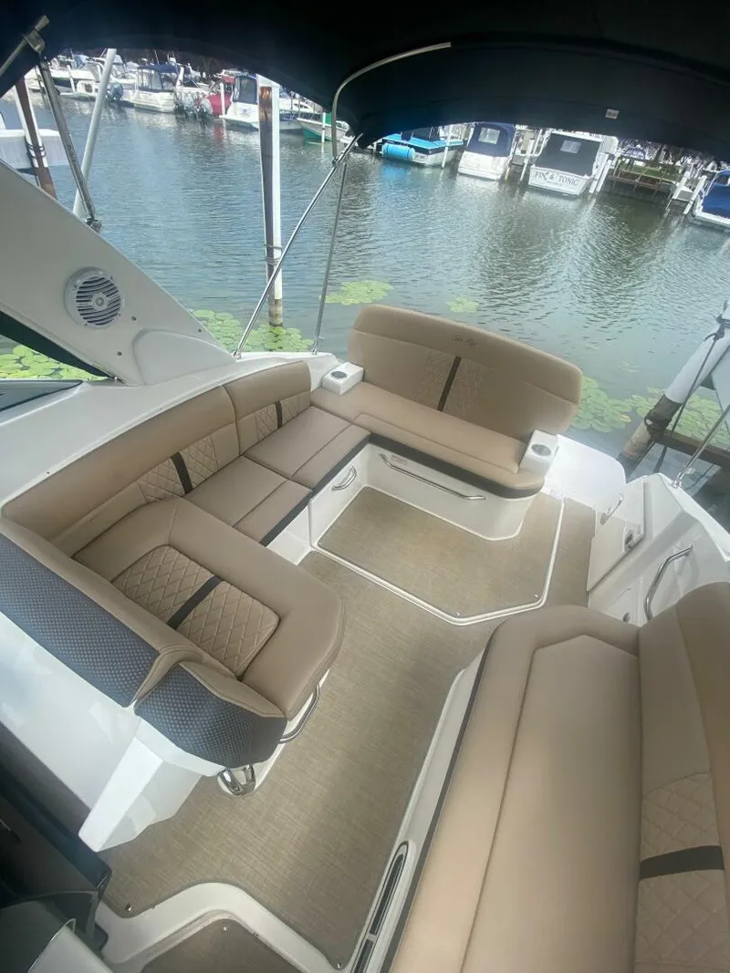 Slide: The Image of Sea Ray 260 Sundancer 2018 - 3