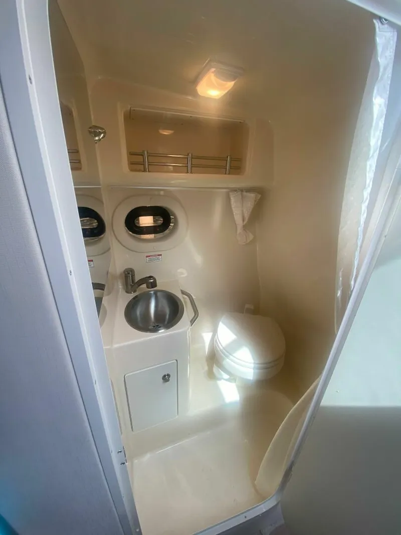 Slide: The Image of Sea Ray 260 Sundancer 2018 - 31