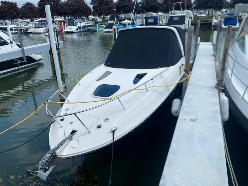 Slide: The Image of Sea Ray 260 Sundancer 2018 - 4