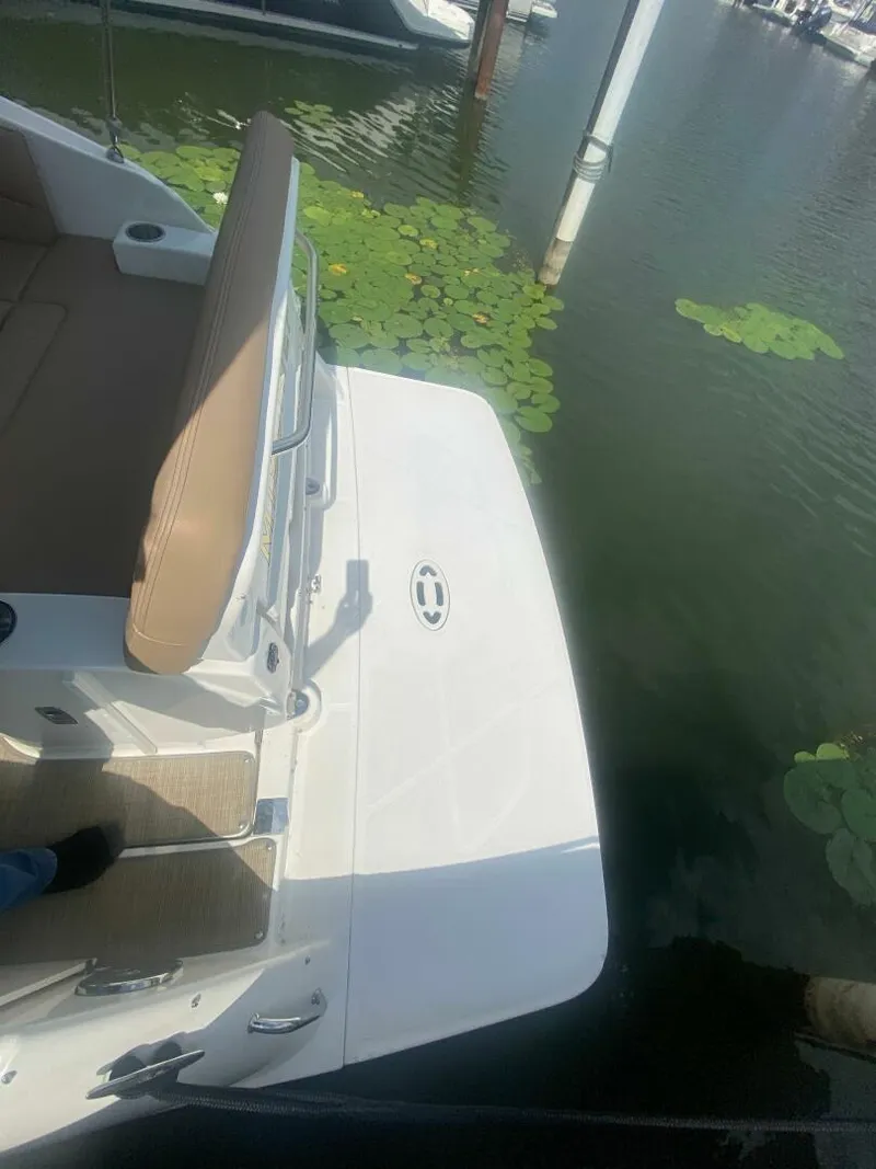 Slide: The Image of Sea Ray 260 Sundancer 2018 - 6