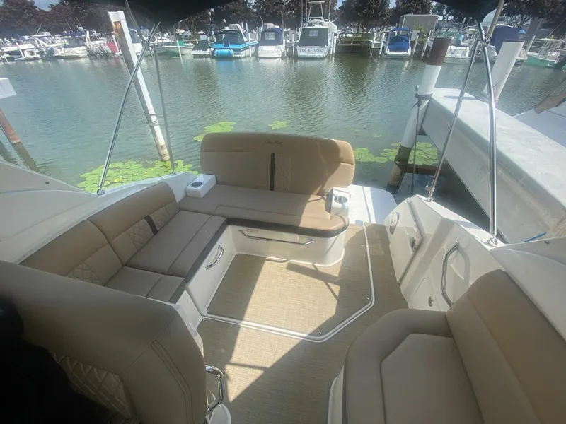 Slide: The Image of Sea Ray 260 Sundancer 2018 - 7