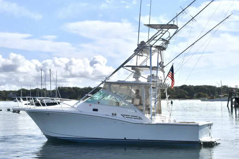 The Image of Cabo 31 Express 2000 - 0
