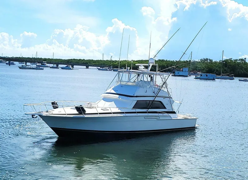 Slide: The Image of Bertram 50 Convertible 1989 - 71