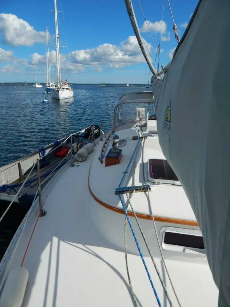 Slide: The Image of Nonsuch Ultra 1989 - 18