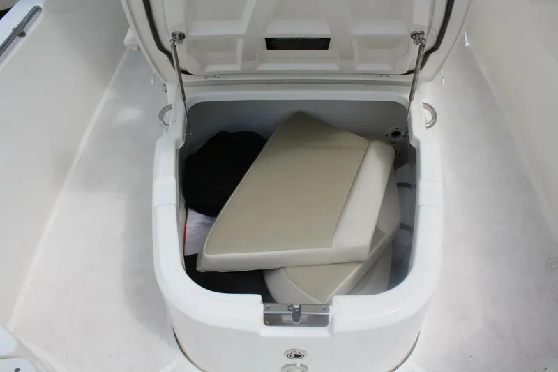Slide: The Image of Boston Whaler 270 Dauntless 2021 - 37