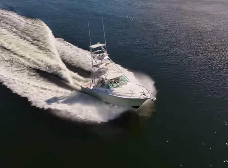 The Image of Cabo Express 2001 - 0