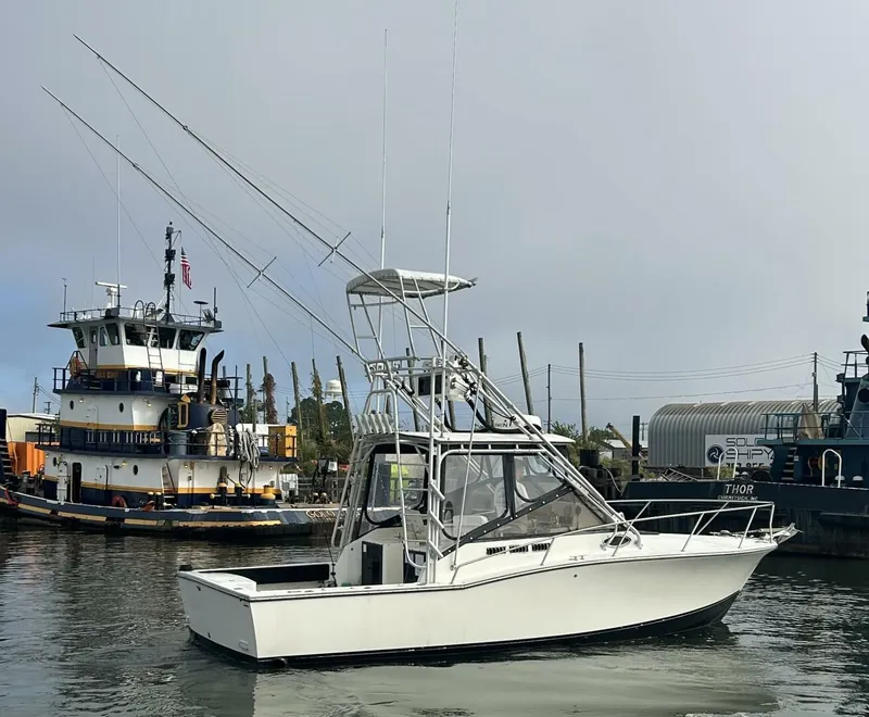 Slide: The Image of Carolina 28 Express 1995 - 7