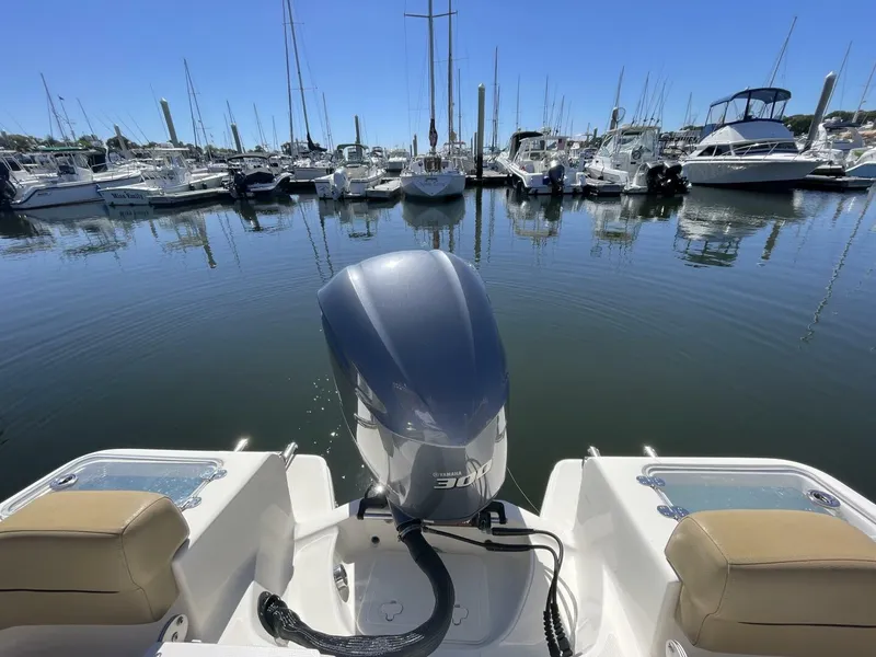 Slide: The Image of Pioneer 222 Islander 2017 - 4