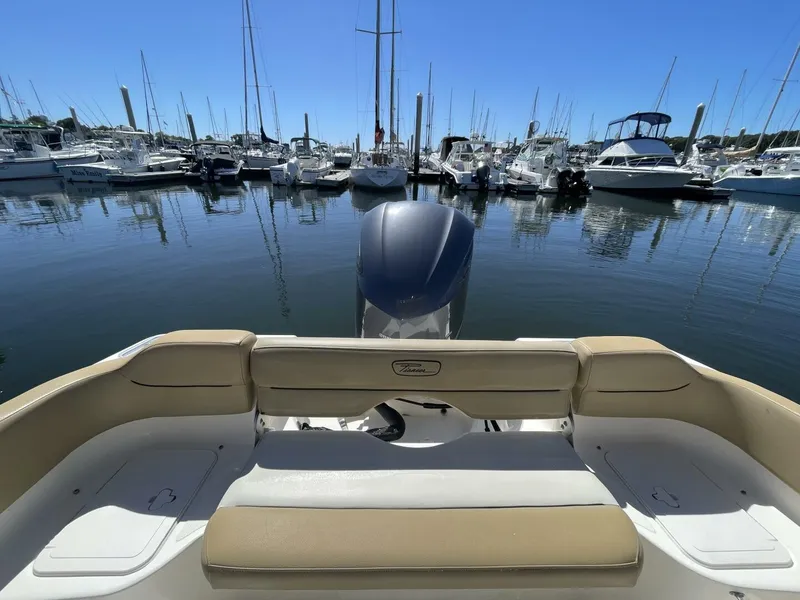 Slide: The Image of Pioneer 222 Islander 2017 - 5