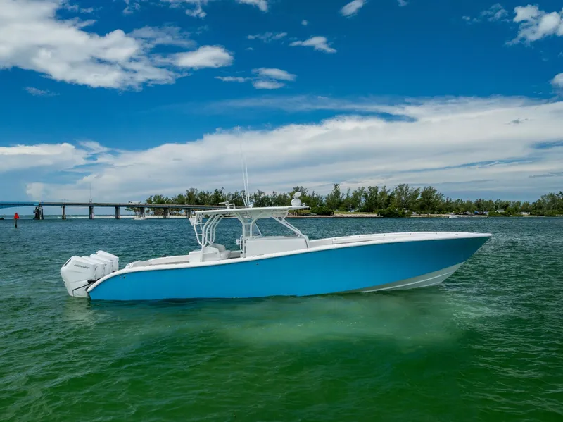 The Image of Yellowfin 2009 - 0