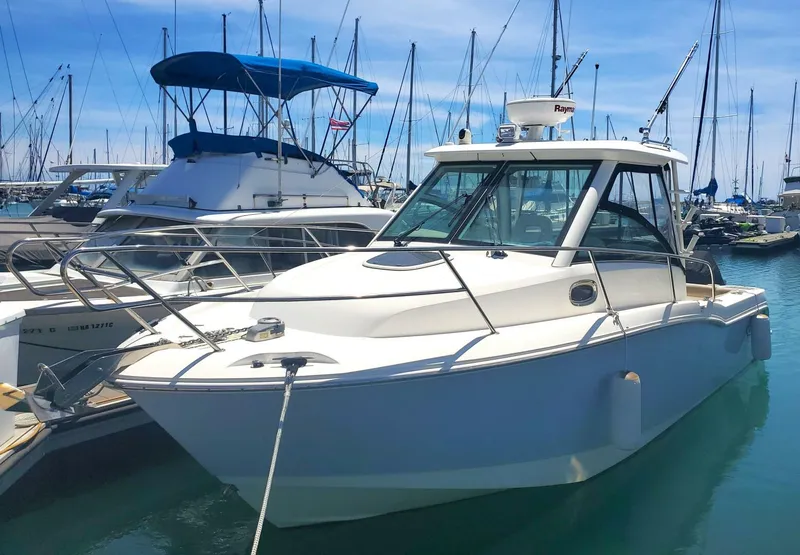 The Image of Boston Whaler Conquest 2019 - 0