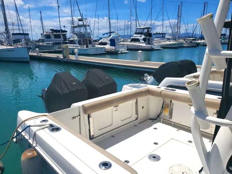 Slide: The Image of Boston Whaler Conquest 2019 - 5