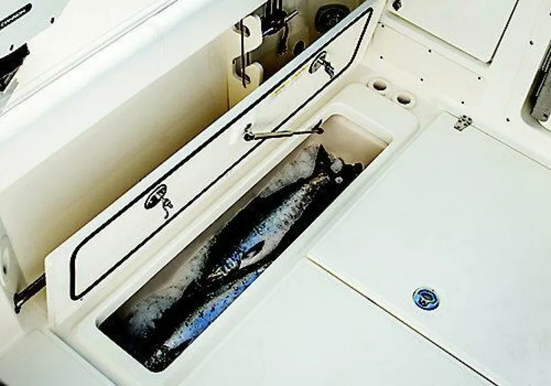 Slide: The Image of Boston Whaler Conquest 2019 - 8